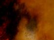 SANS TITRE
Format : 130/97 cm.
Médium : huile sur toile.
Date : 2011
Pigment : terre d?ombre, terre
d?ombre brulée, jaune cadmium
Style : abstrait spirituel.
Technique : fondus.